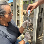 PECUÁRIA: Lançada, em Ipiranga do Piauí, campanha de vacinação contra a febre aftosa