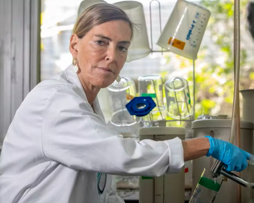 Captura de tela 2026-02-18 233604